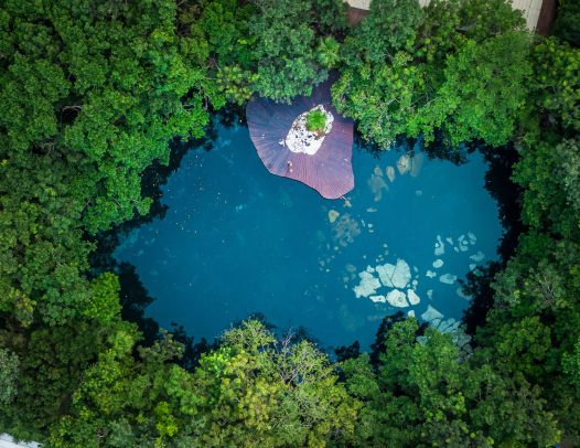 Moon Experiences (agencia de viajes) Fotografía de cenotes en la Riviera Maya