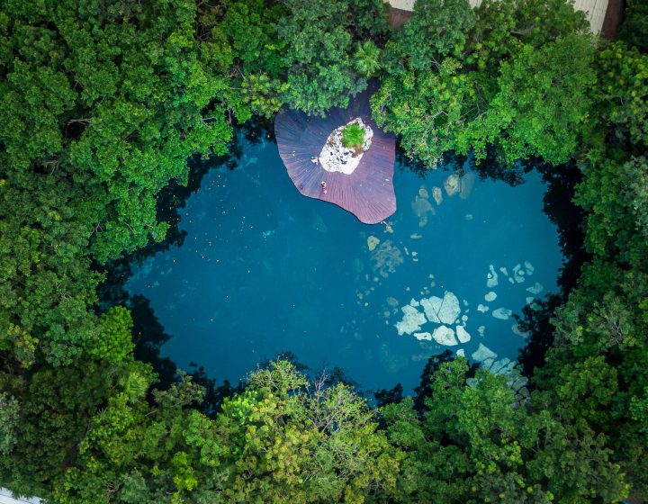 Moon Experiences (agencia de viajes) Fotografía de cenotes en la Riviera Maya
