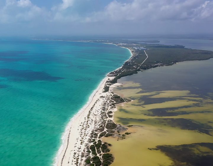 Fotografía de Costa Mujeres en Quintana Roo, por Moon Experiences (agencia de viajes en Cancún)